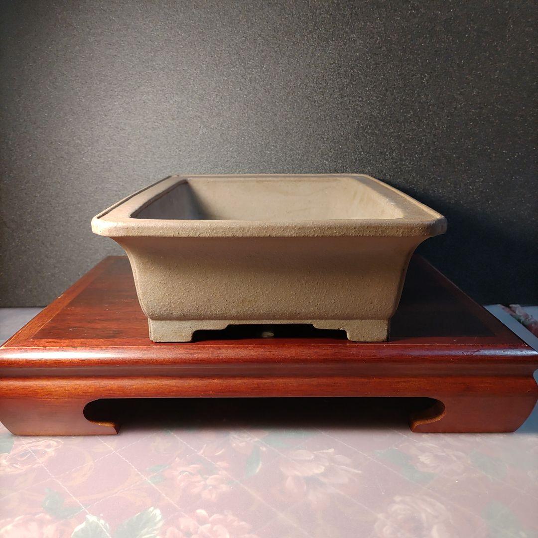 専山　専山造印　盆栽鉢　植木鉢　盆栽