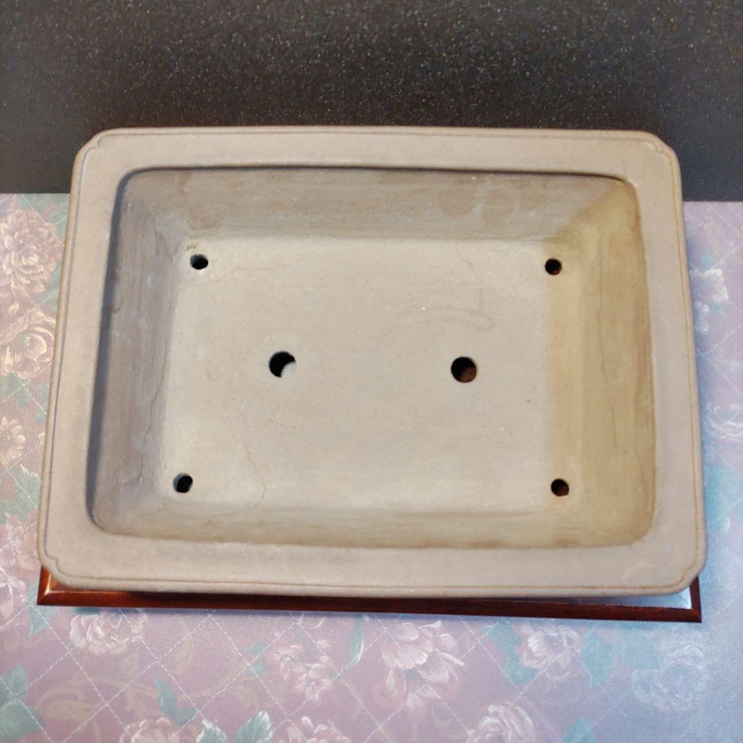 専山　専山造印　盆栽鉢　植木鉢　盆栽