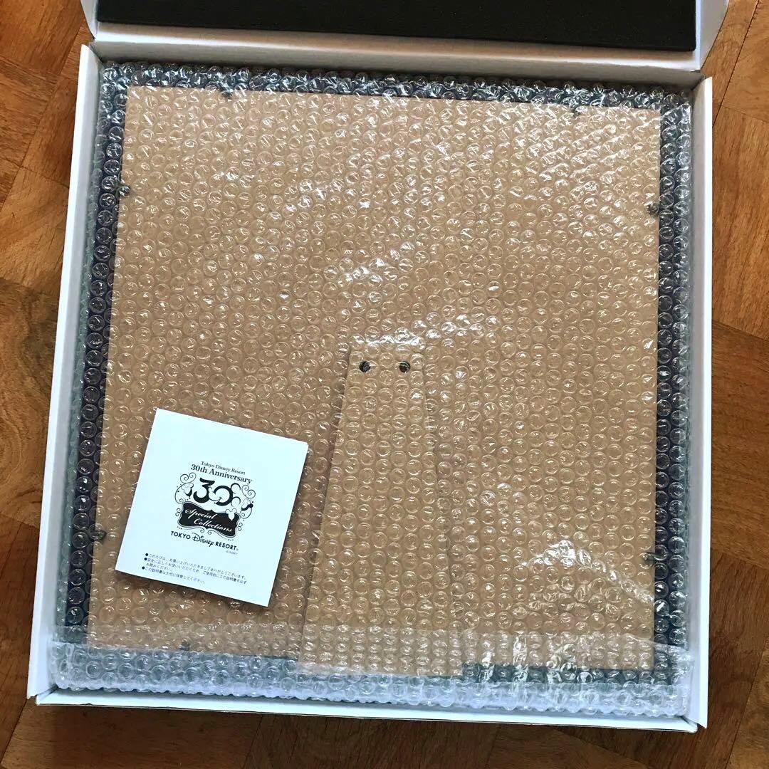 ピンバッジフレーム ピンバッジセット 東京ディズニーリゾート３０周年 匿名配送