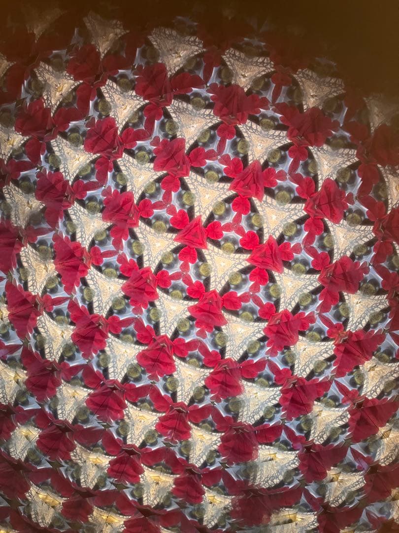 長いテレイドスコープ、24cm,ロイコヘンの作品