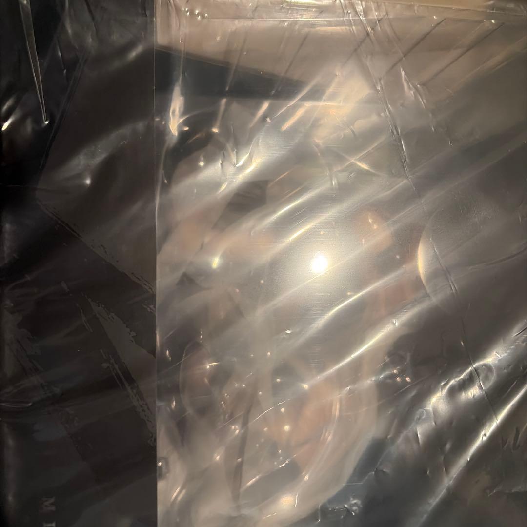 瑞鶴 瞬速の真名 アズールレーン　フィギュア　未開封