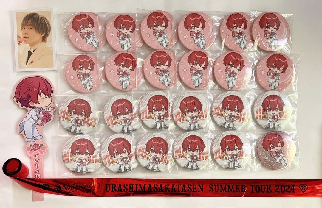 浦島坂田船 あほの坂田。 Weddiing 実写 缶バッジ 2024夏ツアー