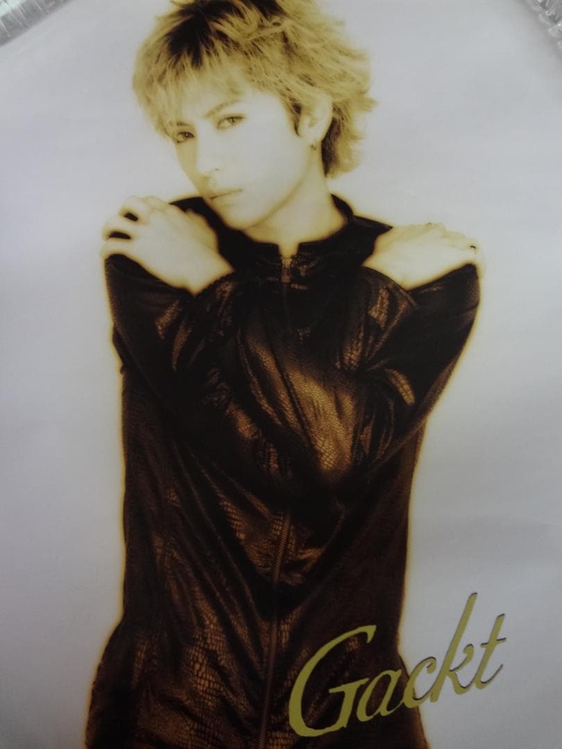 Gackt ガクト 入手困難非売品ポスター30本まとめて - メルカリ