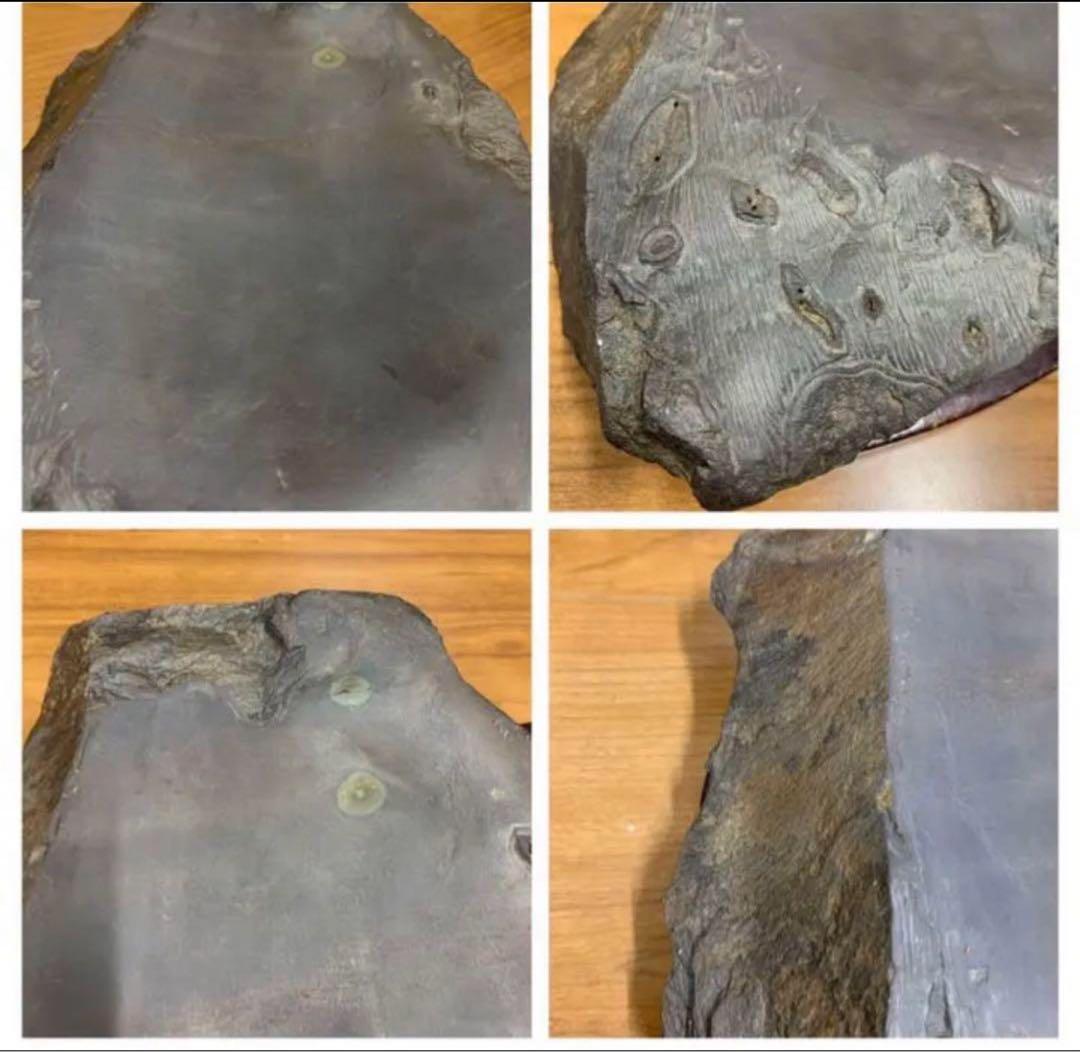 中国・書道具/名石 清時代文房四宝端渓硯/魚脳凍・天青色、赤紫色咽脂暈Y106