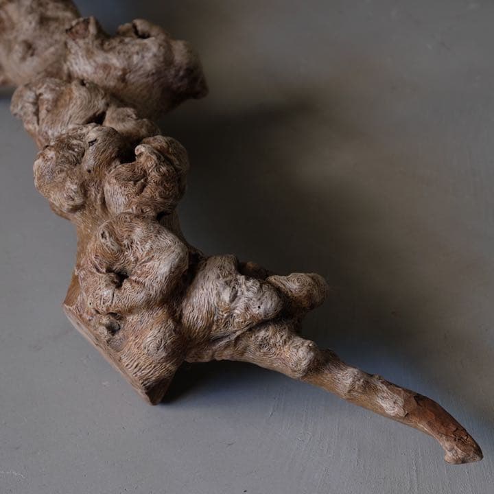 瘤杢 ワニのオブジェ 流木 古材 木製 置物 アート 芸術 アンティーク