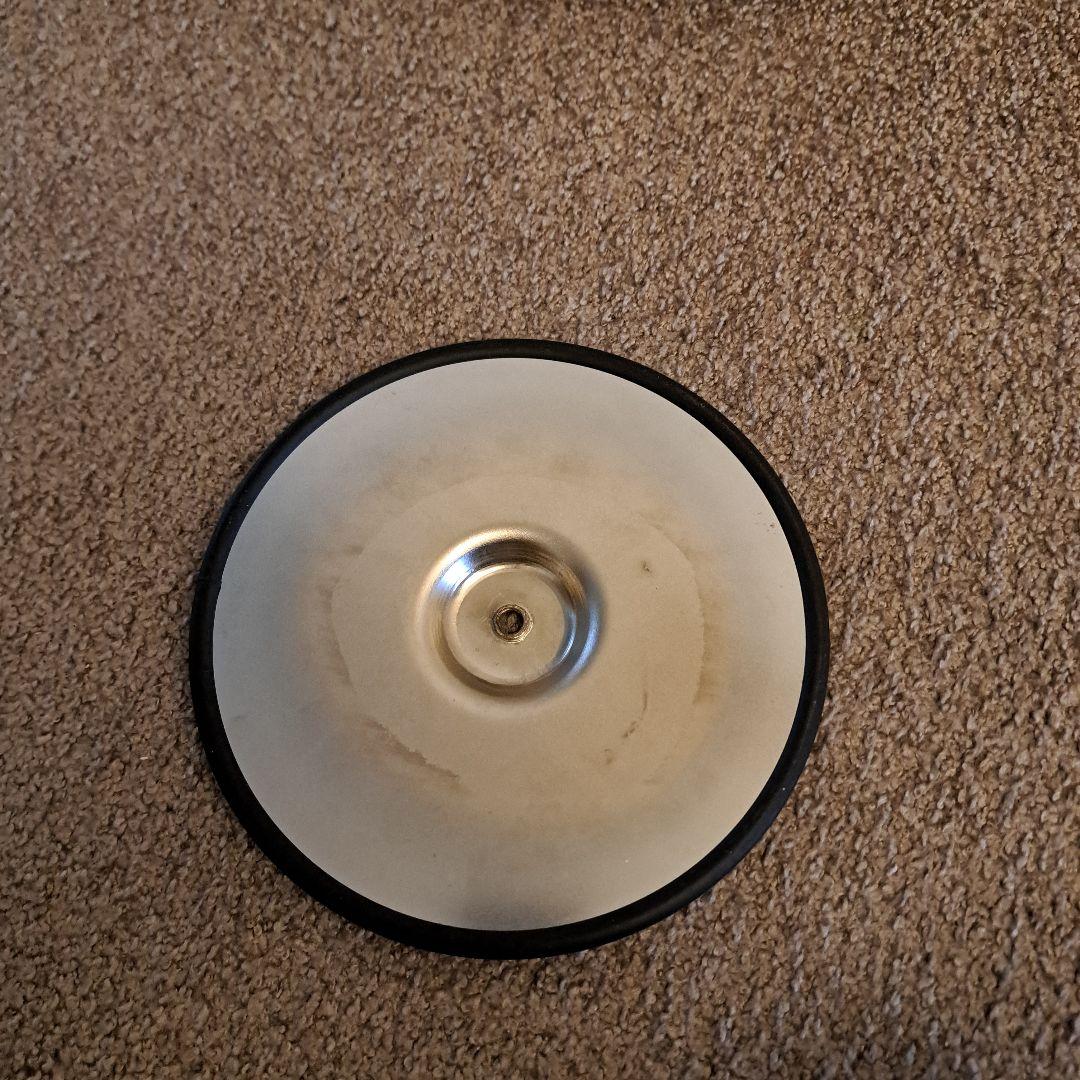 ボディ トルソー 文化 2分の1 （譲受後、未使用品）