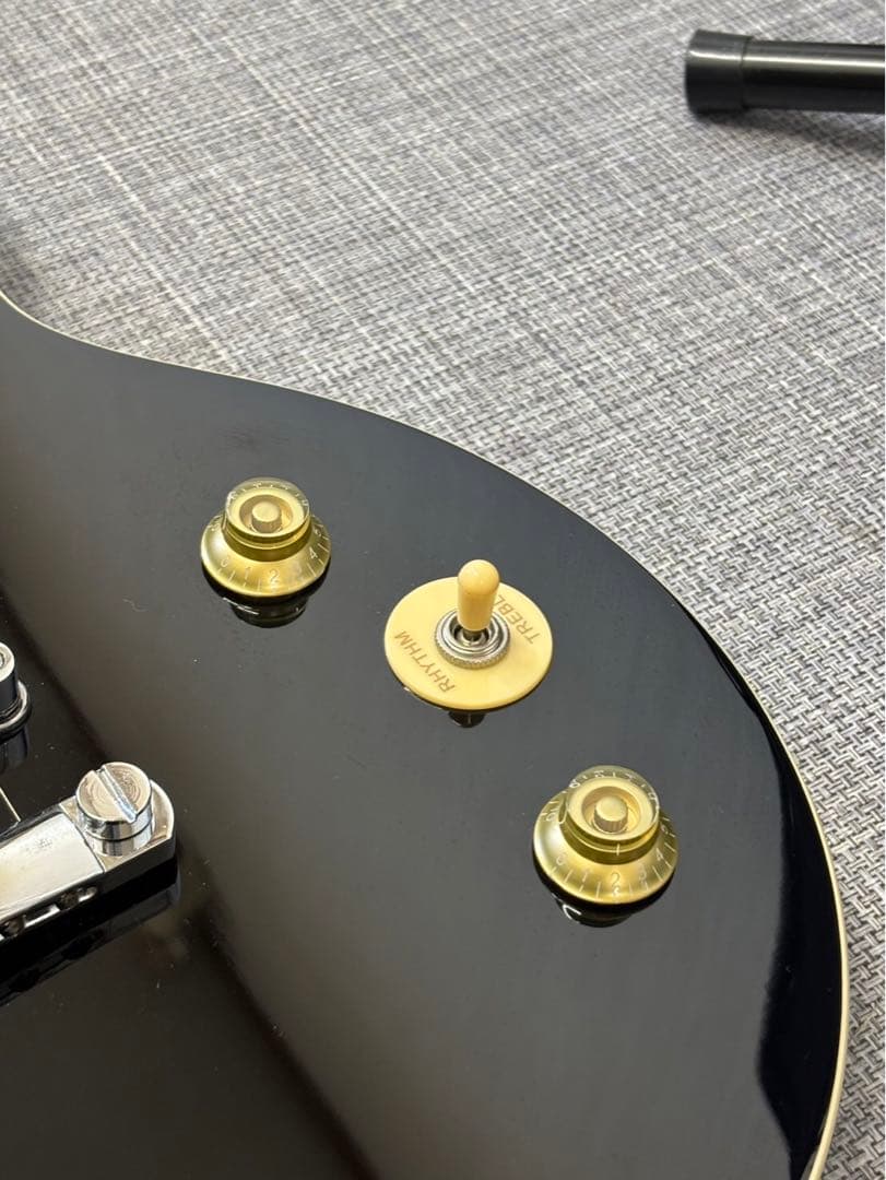 ⭐︎DONNER ドナー エレキギター ソフトケース 初心者 入門用