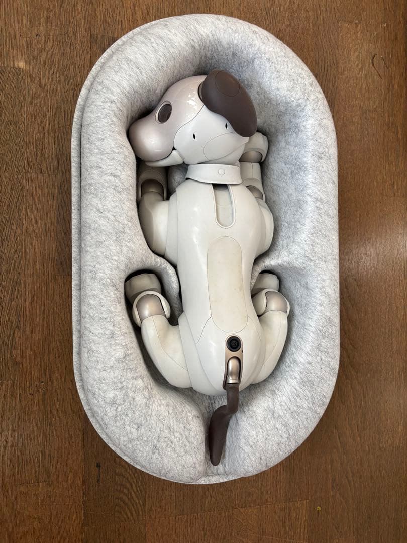 SONY aibo ERS-1000 本体