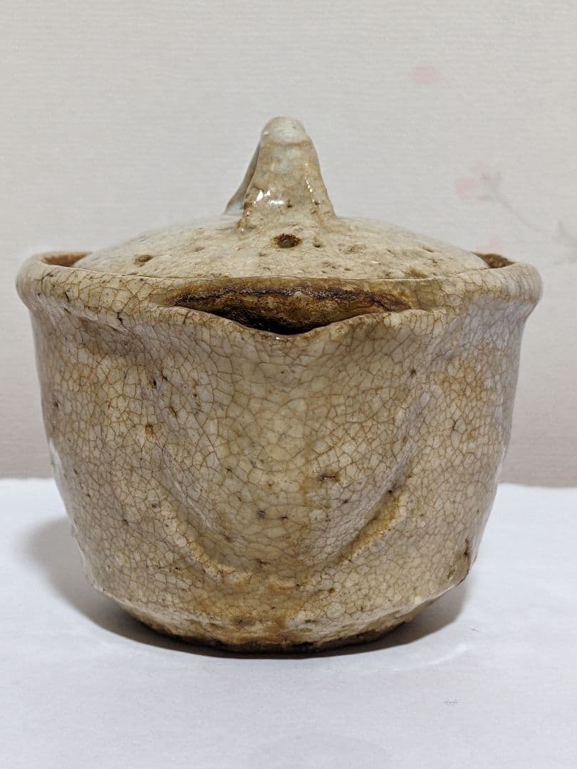 ♦江戸時代 幕末〜明治時代 煎茶道具 急須 古美術コレクション骨董品アンティーク