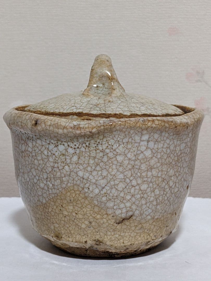 ♦江戸時代 幕末〜明治時代 煎茶道具 急須 古美術コレクション骨董品アンティーク