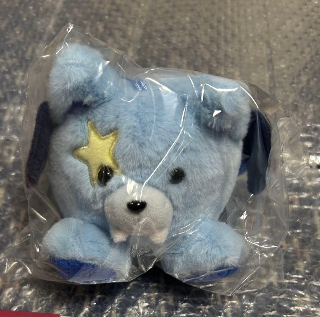 ENHYPEN ジョンウォンTHE SIN VANISH ボイスキーリング - メルカリ