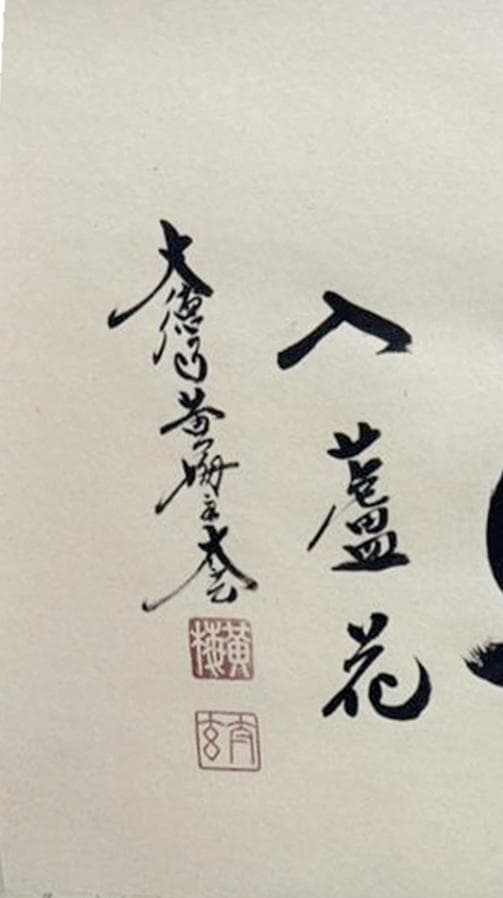 新品同様】掛軸 大徳寺 小林太玄筆『白馬入蘆花』紙本 肉筆 横軸 共箱