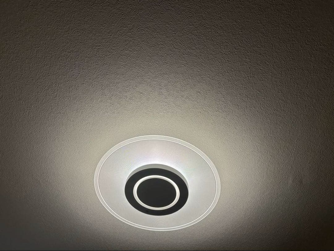 IRIS OHYAMA PANEL LIGHT シーリングライト　8畳 ラウンド