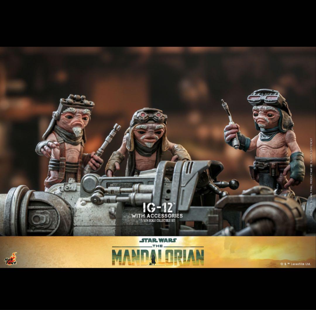 【バッキー】IG-12 アクセサリーセット ＆　ボーナスアクセサリー台座