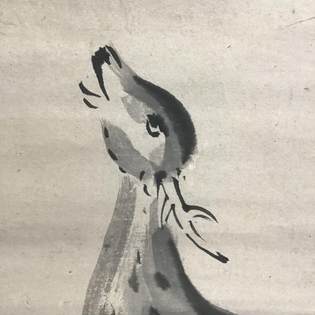 K茶道具 掛軸「鹿」狩人にこそ角はあれ鹿の声 横井也有画