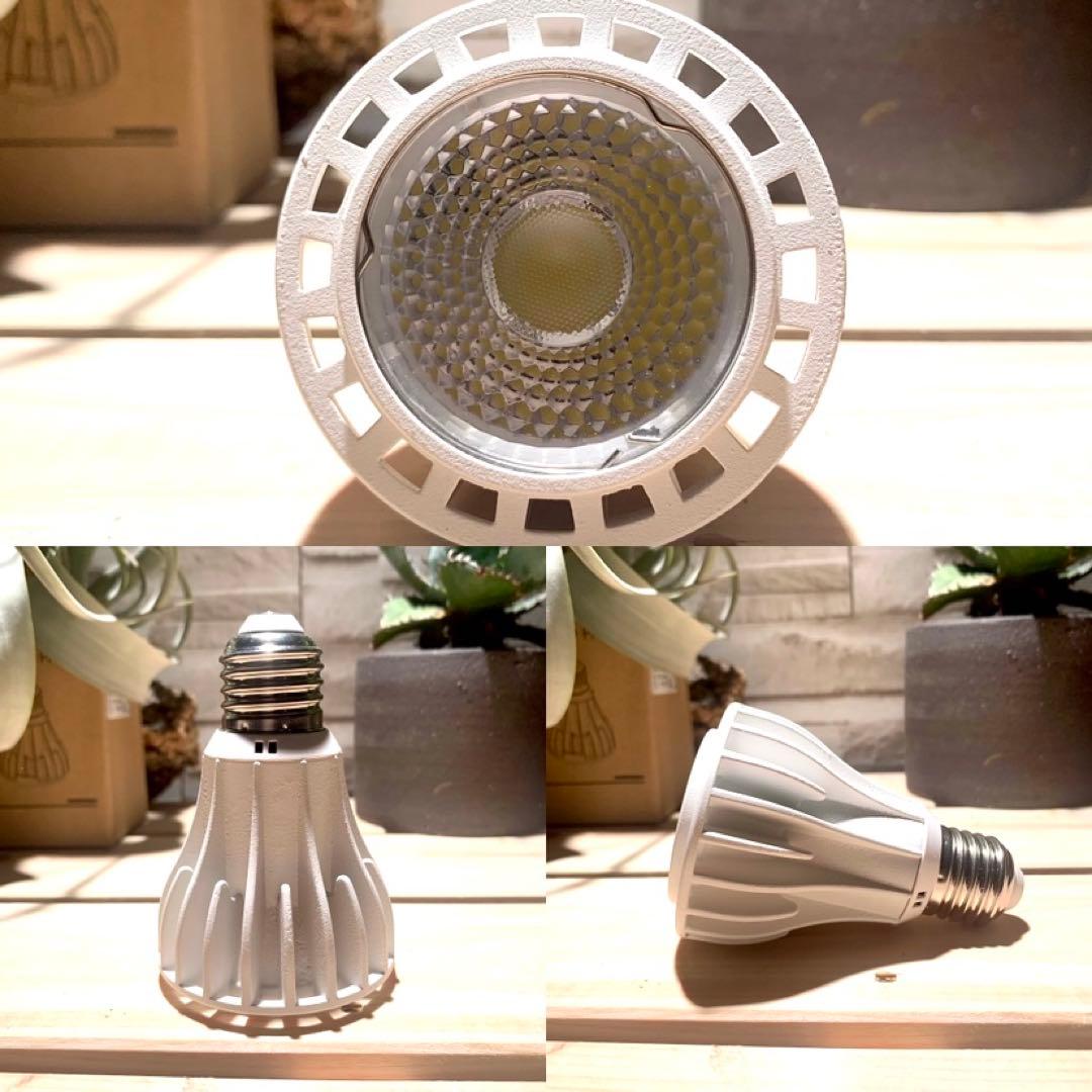 15W植物育成ライトGrowLight PAR20 6000K 5個