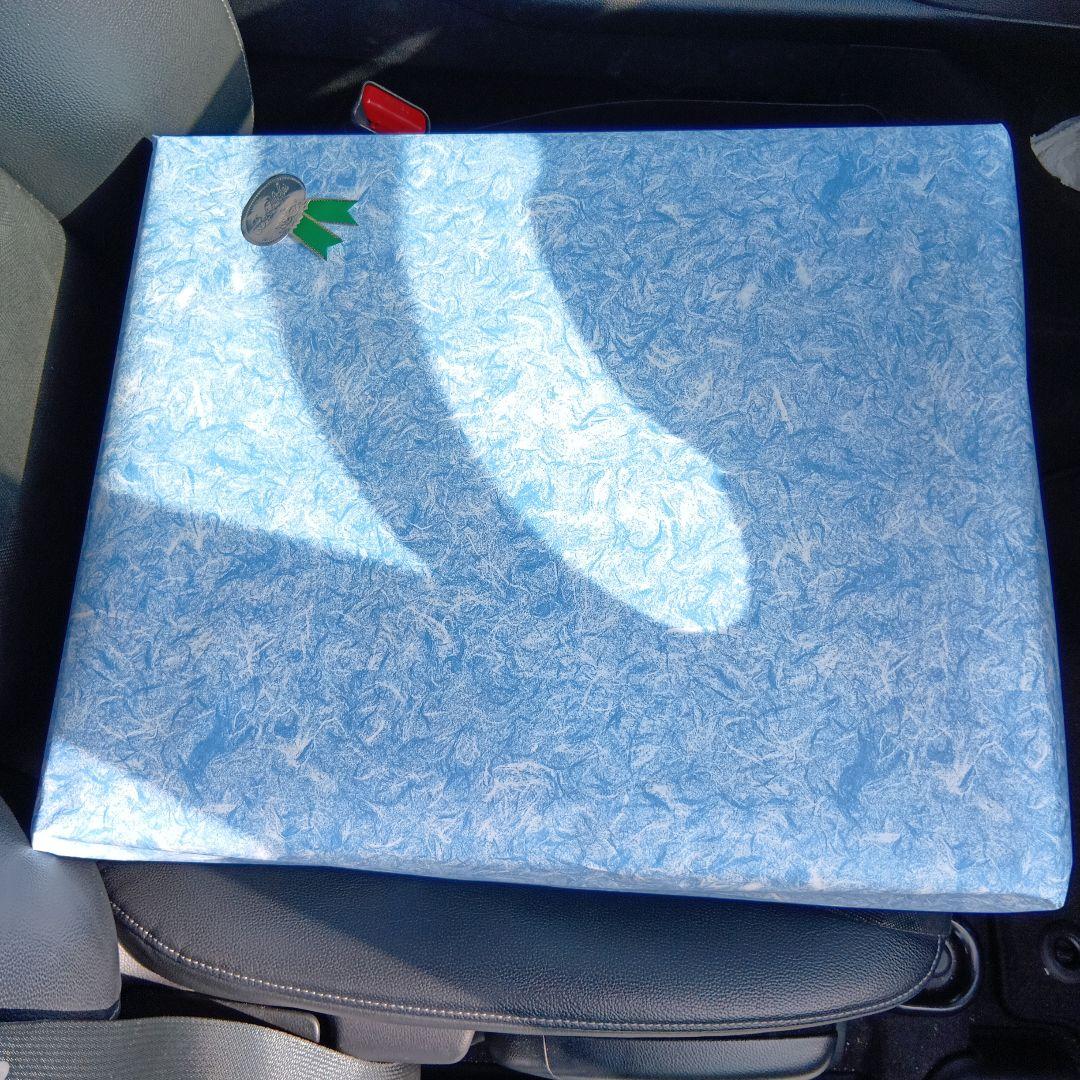 ラジコン　飛行機　RC FIGHTER レッド・ブルー ２機セット新品・未開封