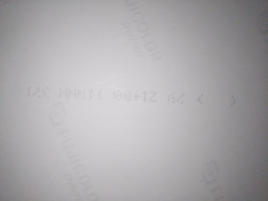 ダウンタウン 生写真２枚組