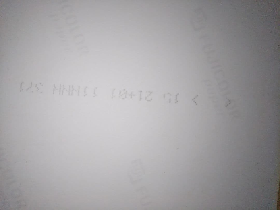 ダウンタウン 生写真２枚組