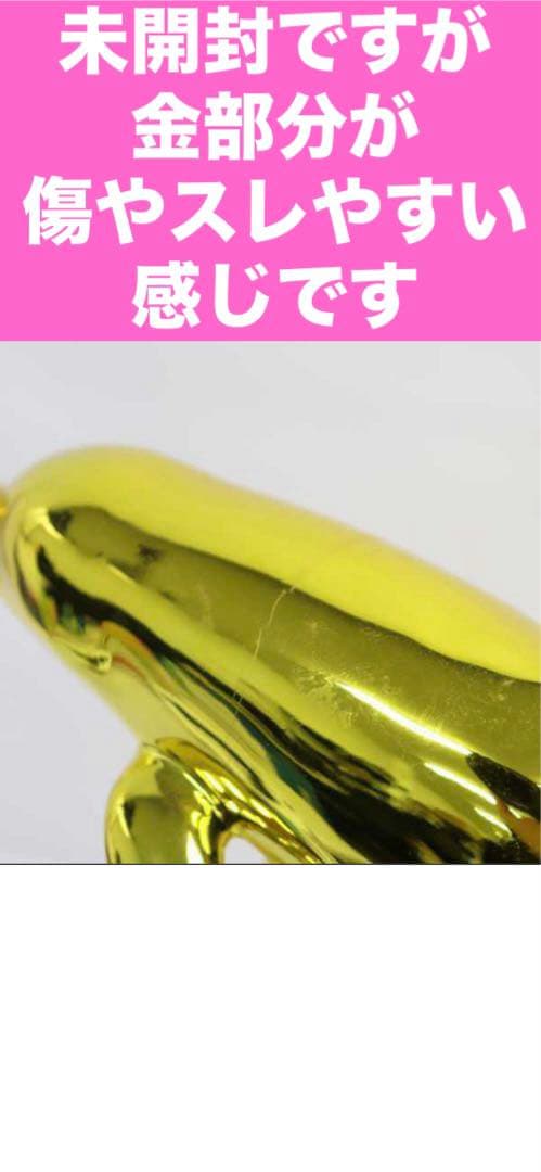 希少♦️ドルフィン ブランデー♦️人気のゴールド♦️仲良し2匹