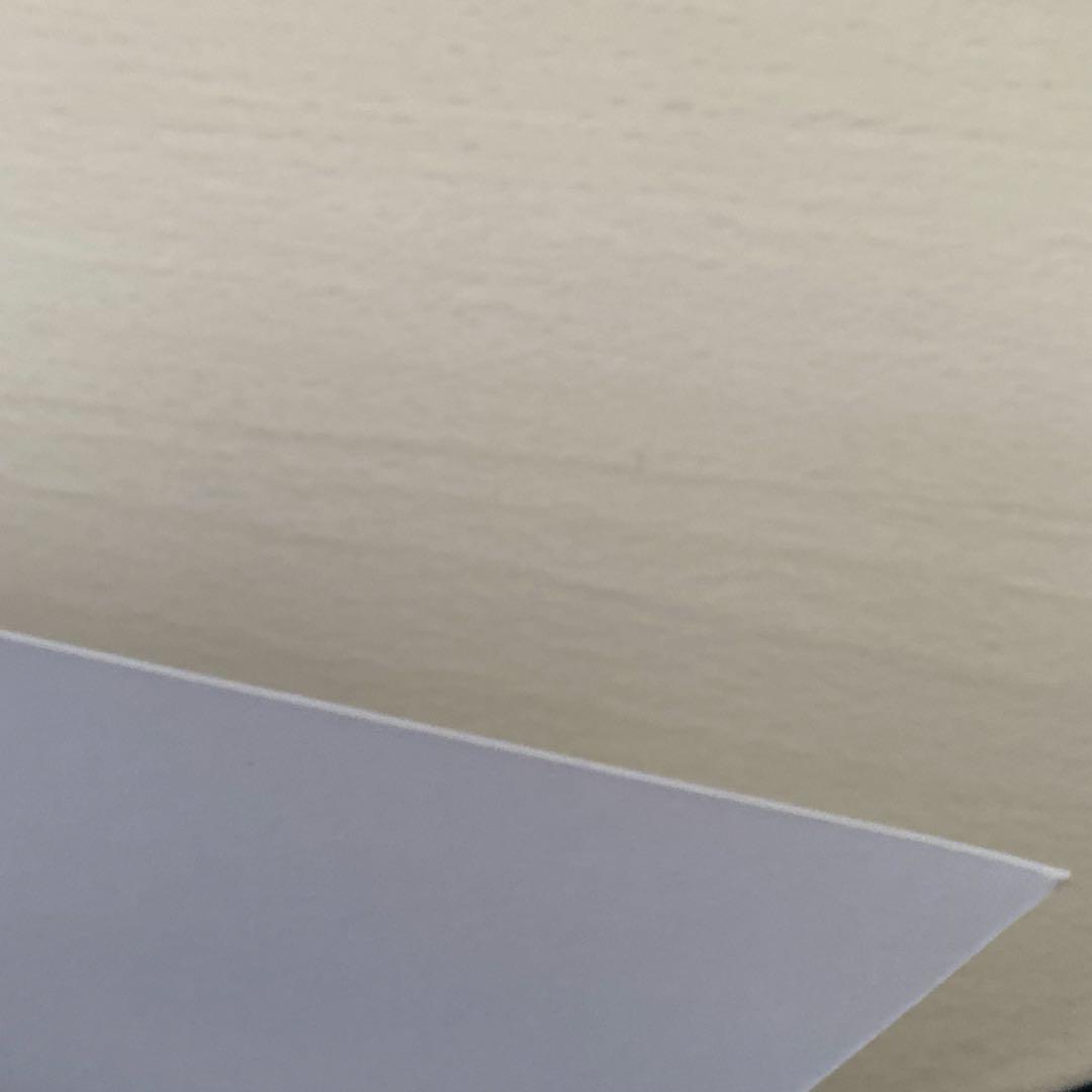 ライパラ2024 CF限定色紙