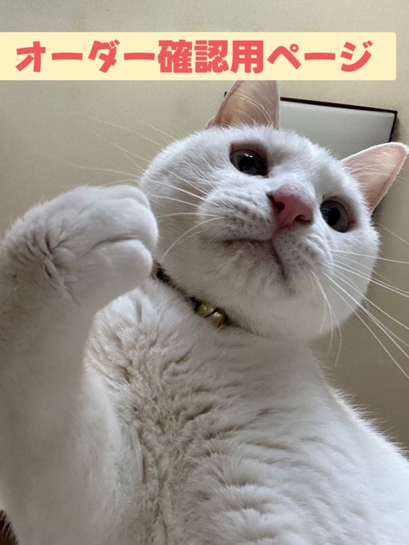 オーダー受付確認用 シフトアップ モンキー125 オイルクーラー コア 8段 シリンダーヘッド