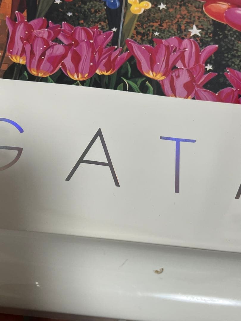 特大】ヒロ・ヤマガタ DISNEY LAND EVENIG ポスター 額傷有 - メルカリ