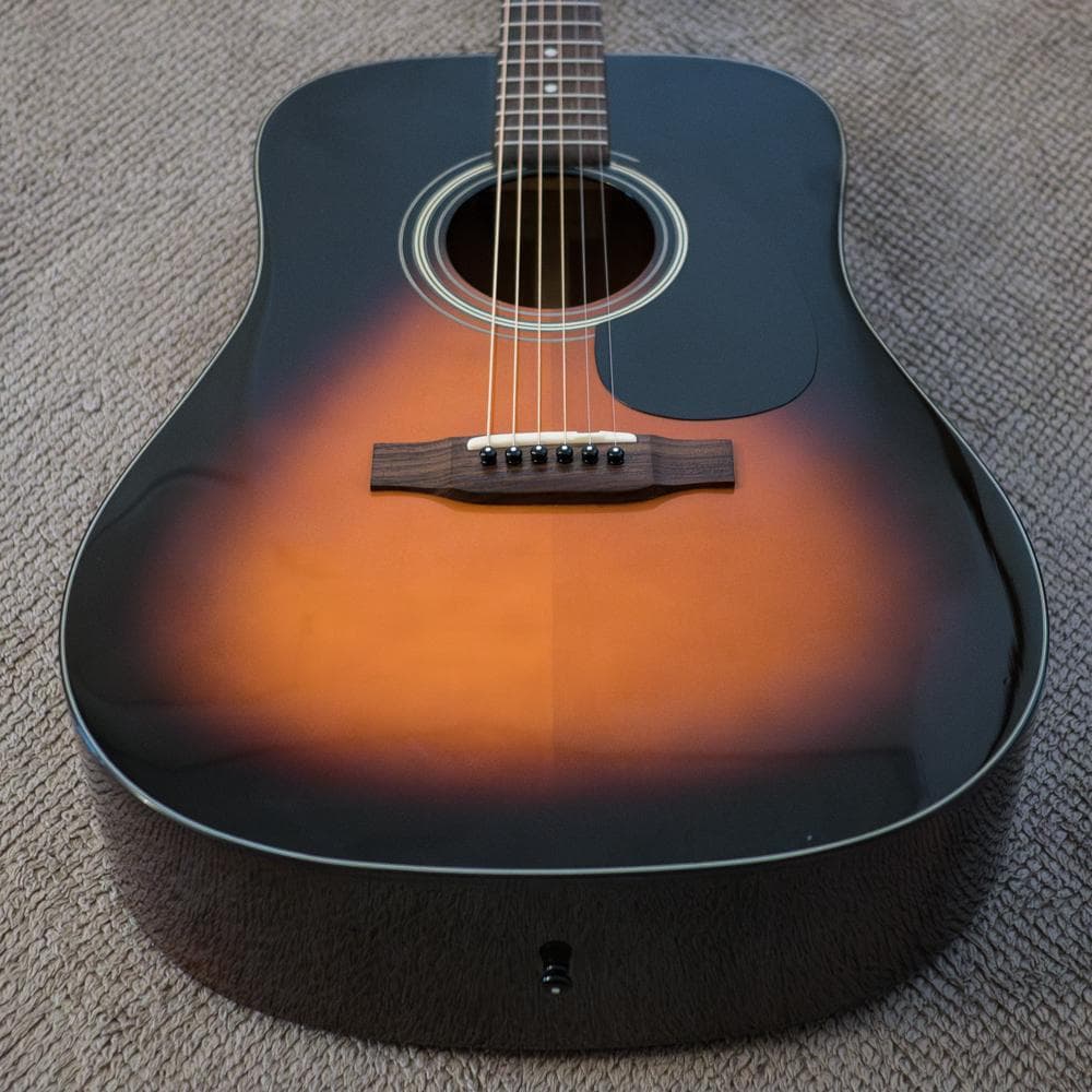 Aria Dreadnought AD-28 RITTERギグバッグ