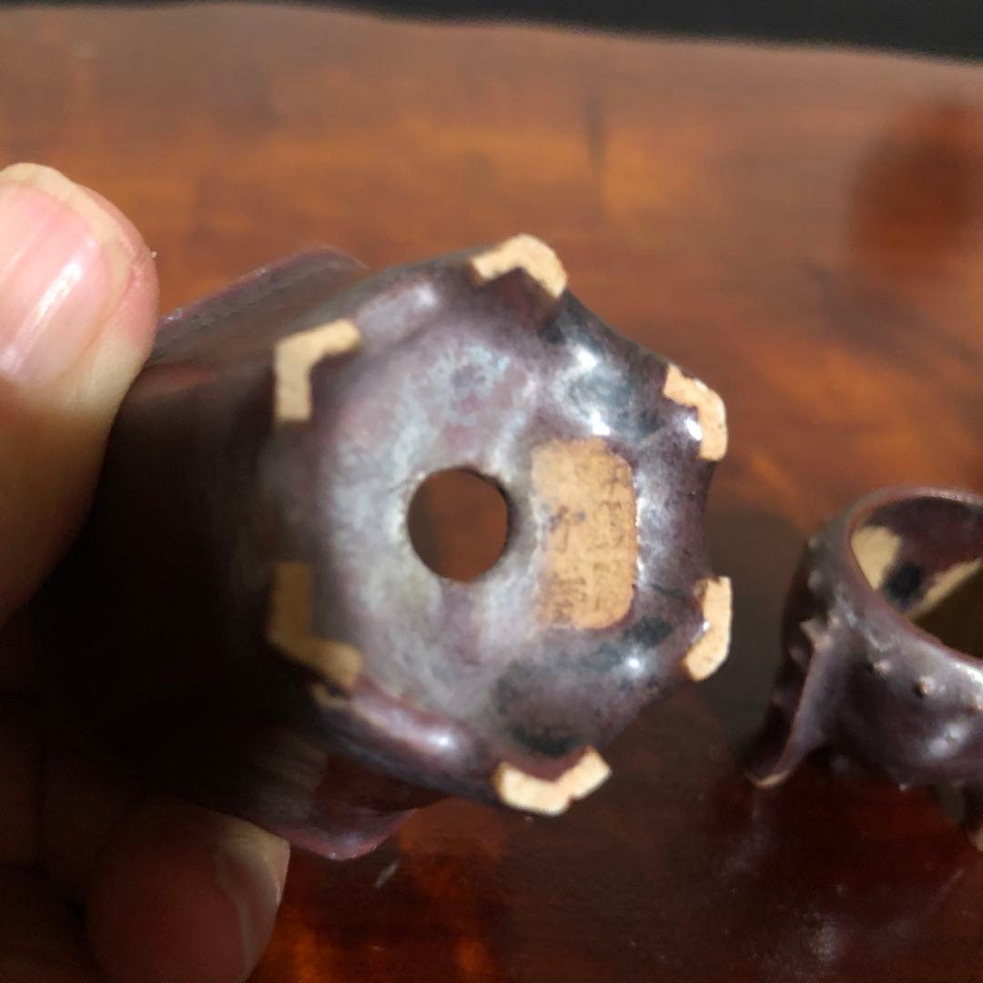 小品盆栽　サボテン　植物鉢 8点組　絵柄6点　小餅庵2点