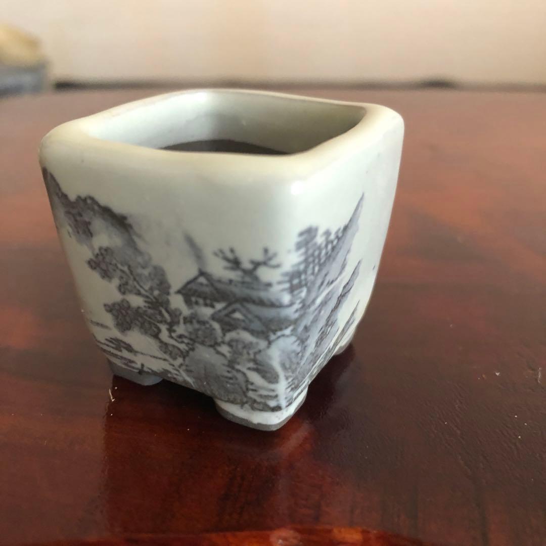 小品盆栽　サボテン　植物鉢 8点組　絵柄6点　小餅庵2点