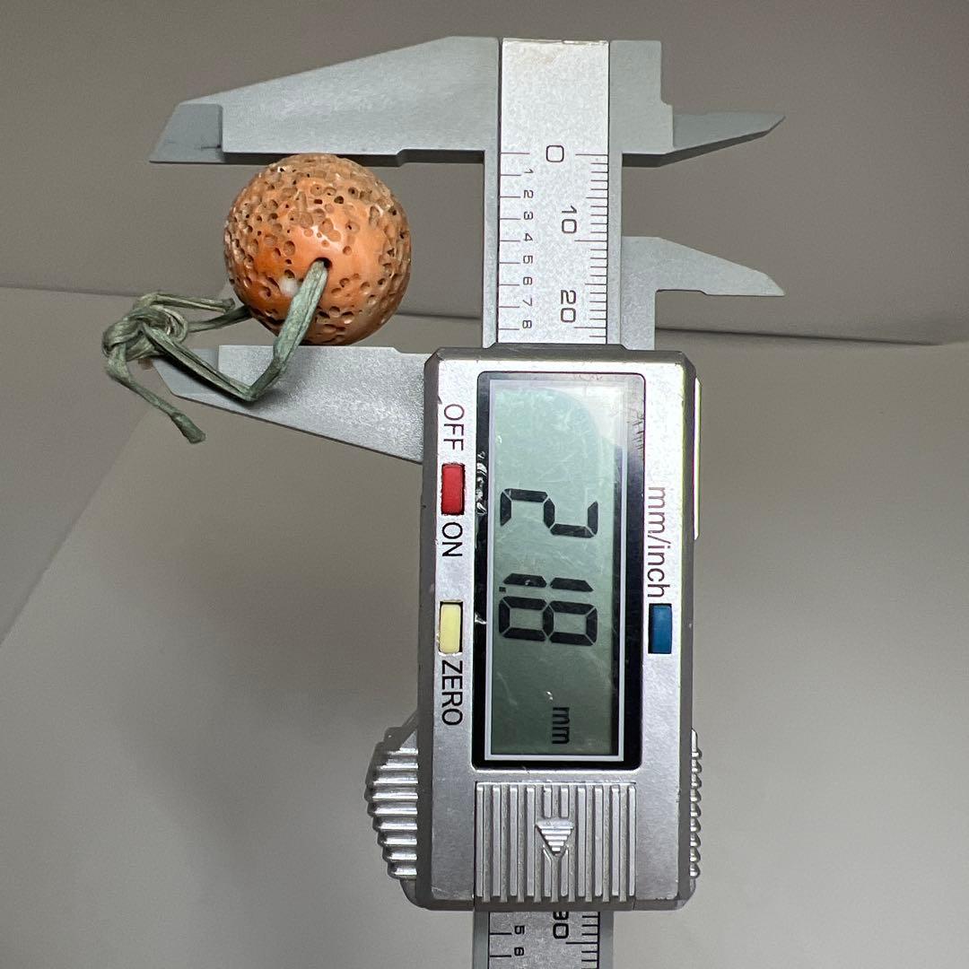 本赤珊瑚 特大 大玉 90g トヒサ 東さ7-1128☆2F