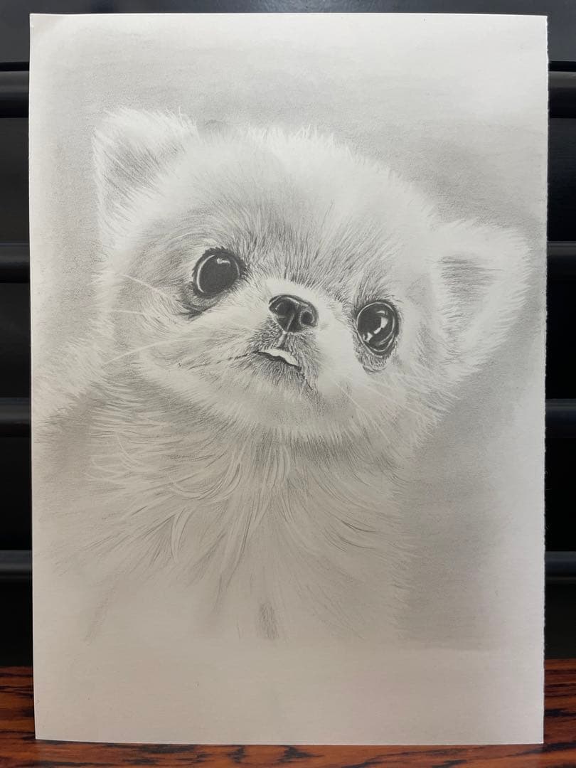 鉛筆画　オーダー画面