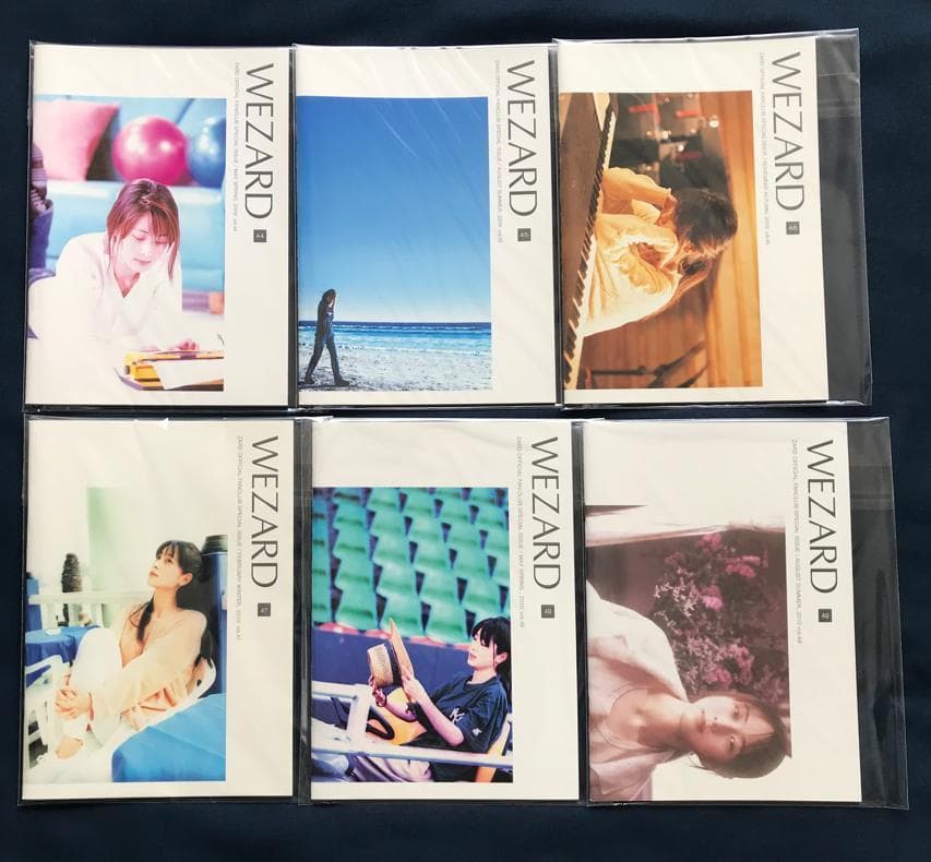 ☆ZARD 坂井泉水 大変貴重な「会報準備号 VoL 1」 zard 本・雑誌・漫画 ・