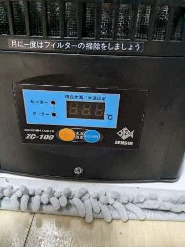 伊*寛様 【破格！？】引取限定 水槽一式セット エーハイム ZC-100水槽台他