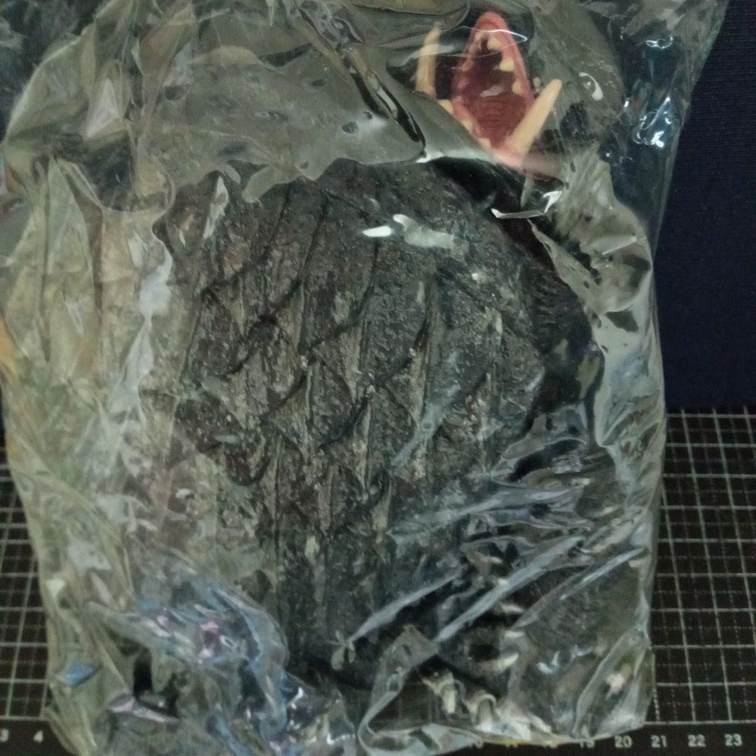 懐かしの昭和特撮「大怪獣ガメラ」ソフビフィギュア（湯浅憲明監督