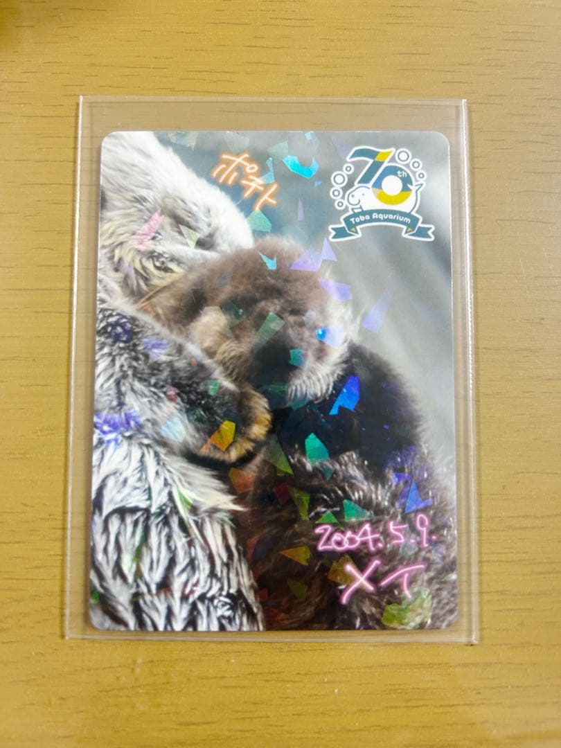 鳥羽水族館 メイ コレクションカード レア 鳥羽水族館 コレクションカード ラッコ メイ レア ノーマル 鳥羽水族館
