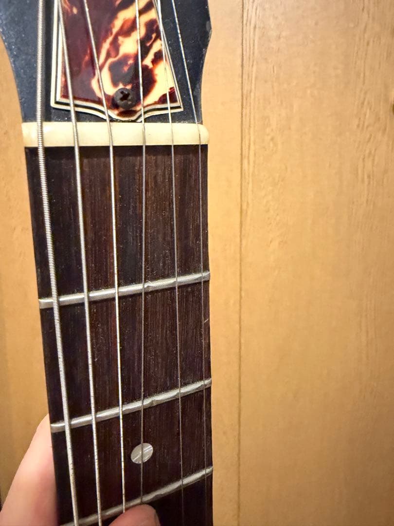 n*h様 Gibson melody maker k&t PU搭載 メロディメー