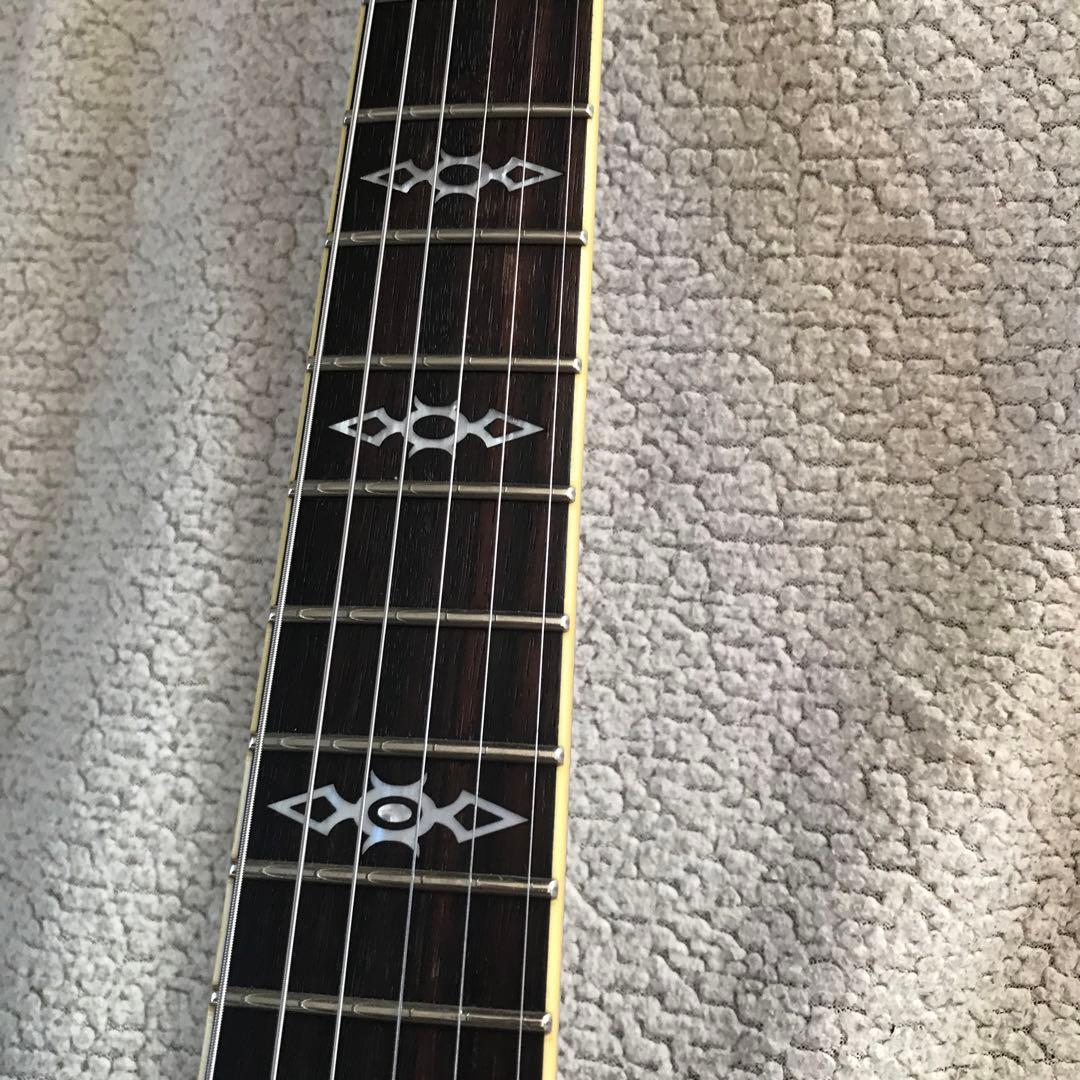 ギター Schecter Hellraiser special