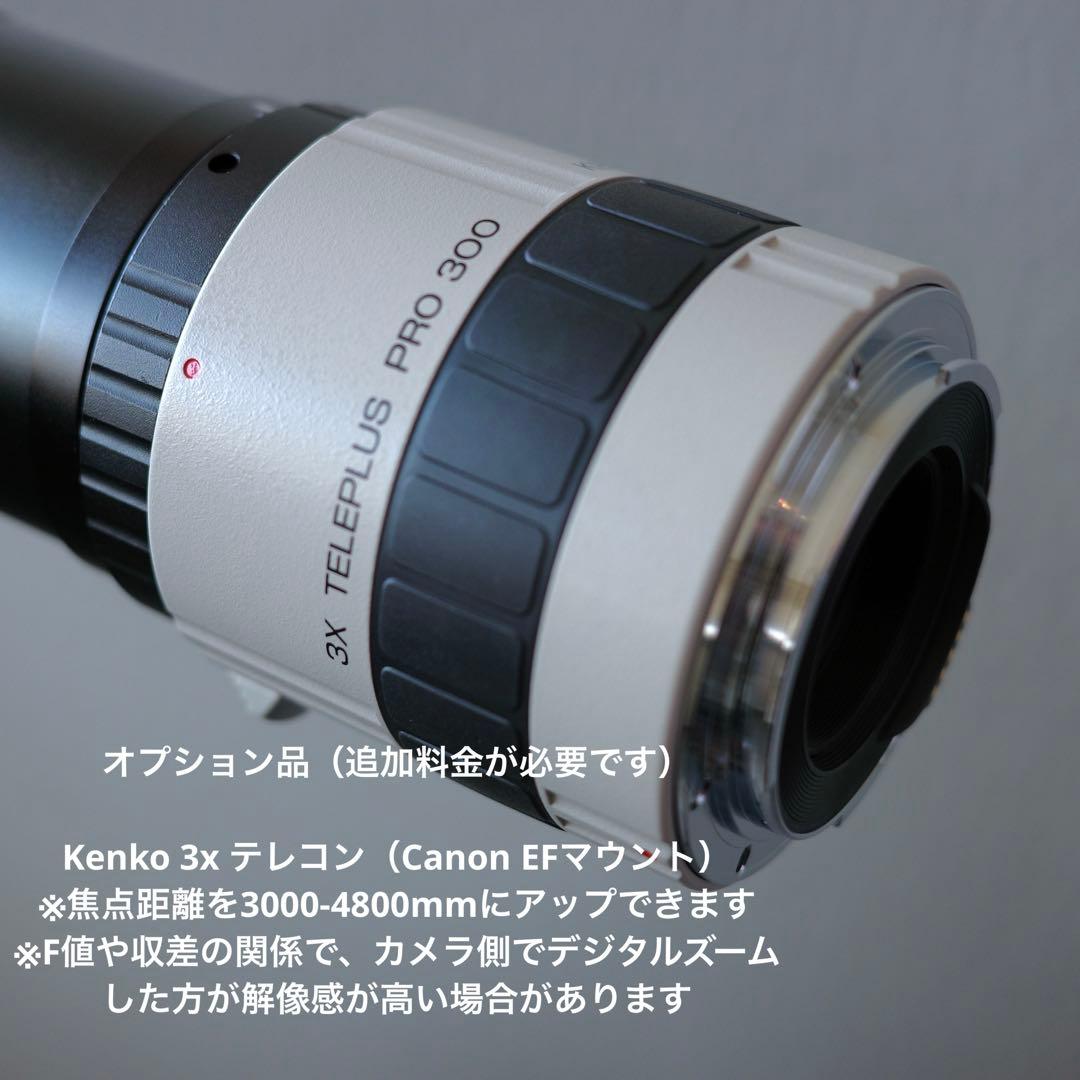 超望遠 スリービーチ SUPER BIG 100A 1000-1600