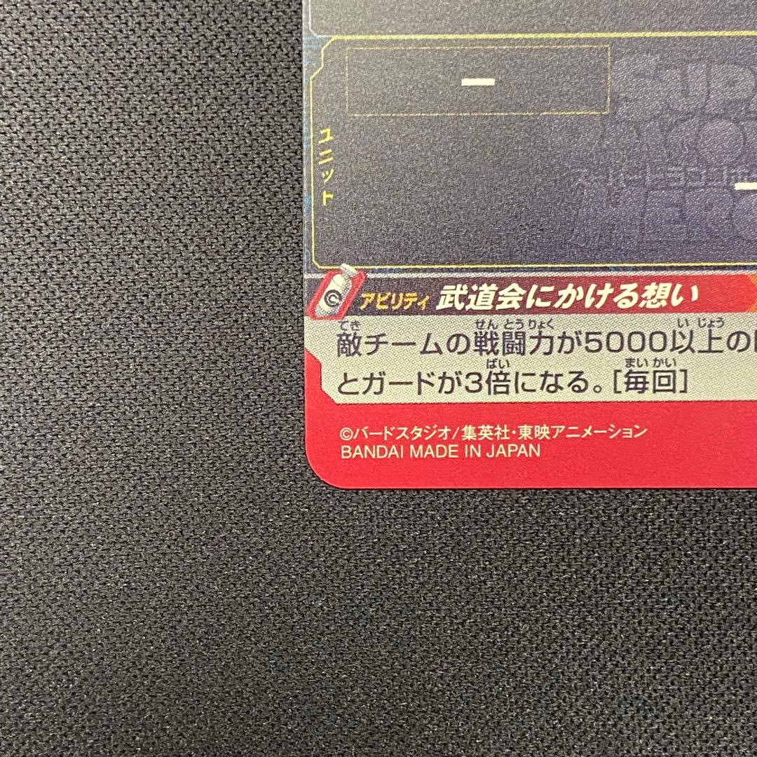 【美品】 チチ ugm10-gcp2da 孫悟空 ugm5-011da