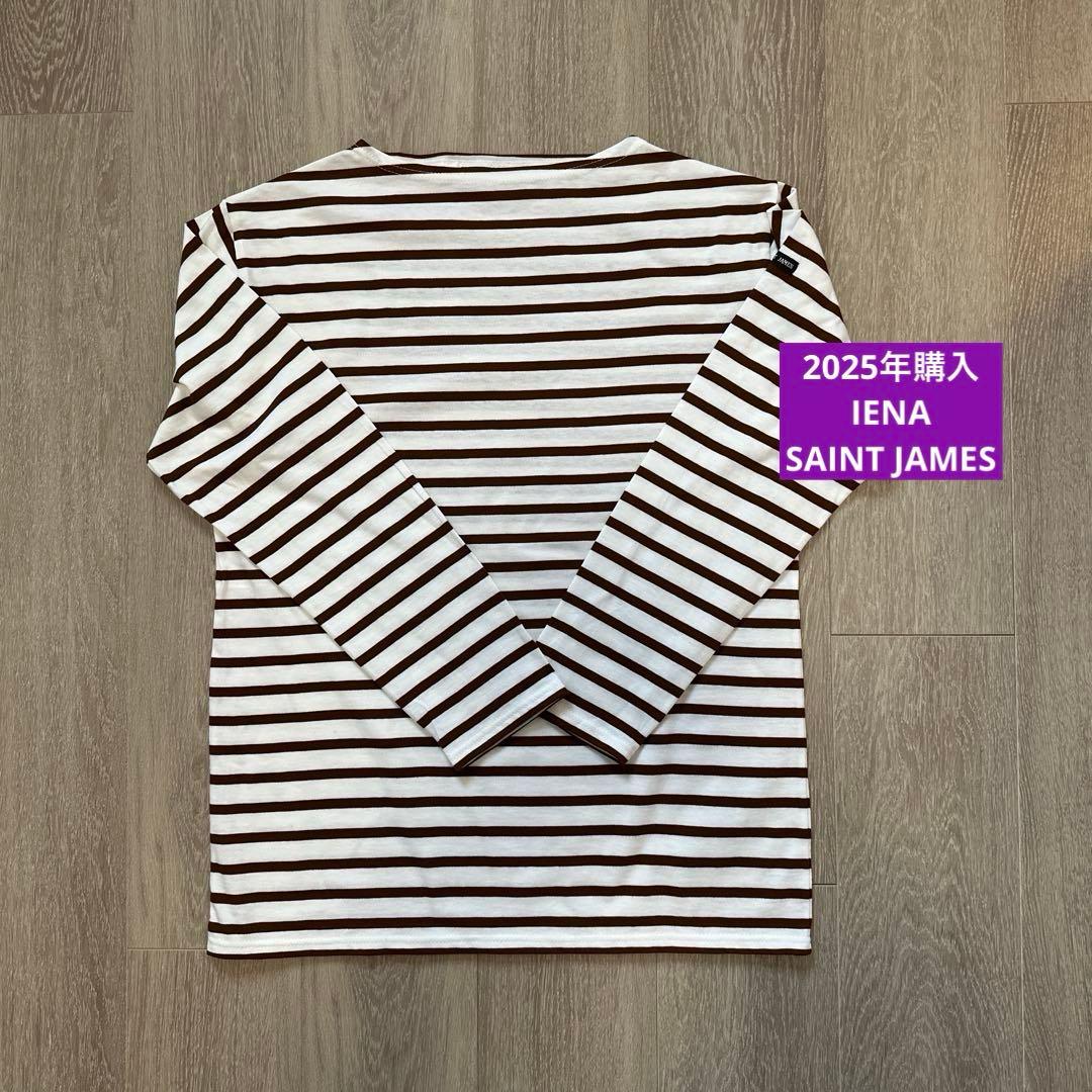 アーチブランチウッド 大サイズ