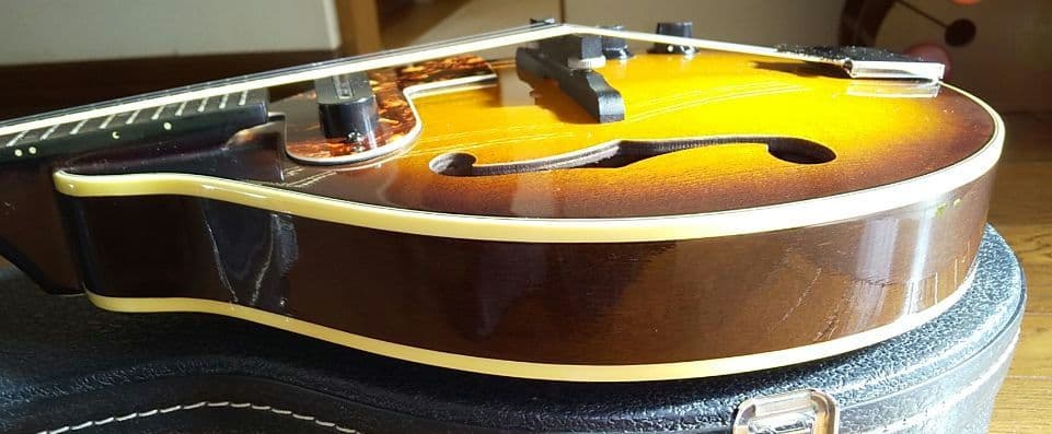 フラットマンドリン アリアAM-200E