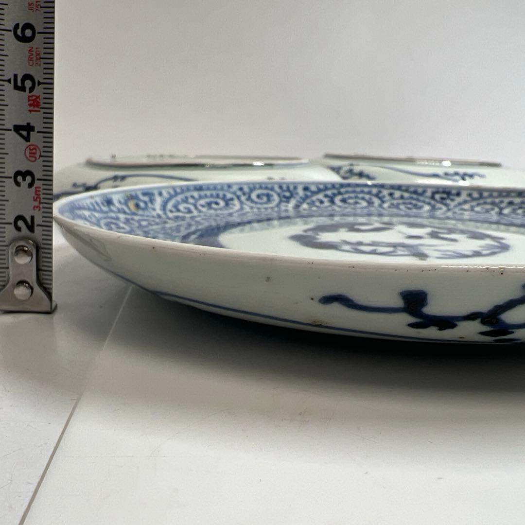 江戸後期 古伊万里 蛸唐草七寸皿5枚 直径約19㎝ 東