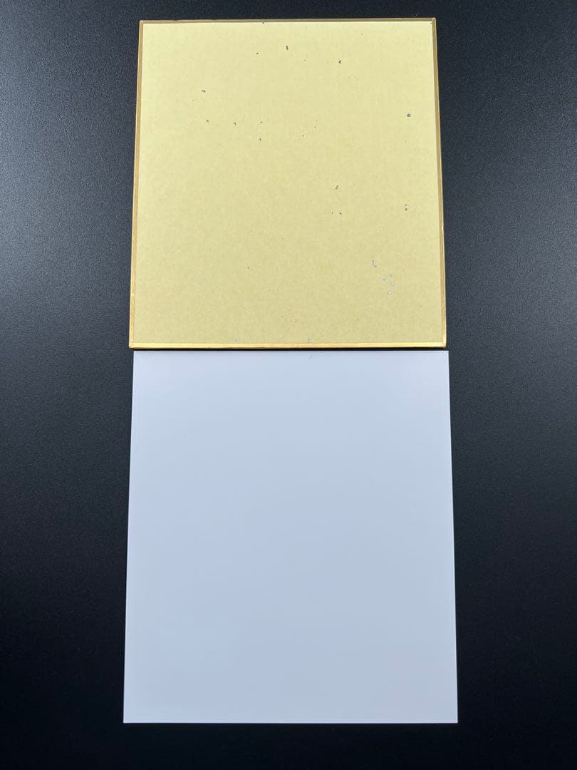 今日はカノジョがいないから メロンブックス特典 ミニ色紙•イラストカード