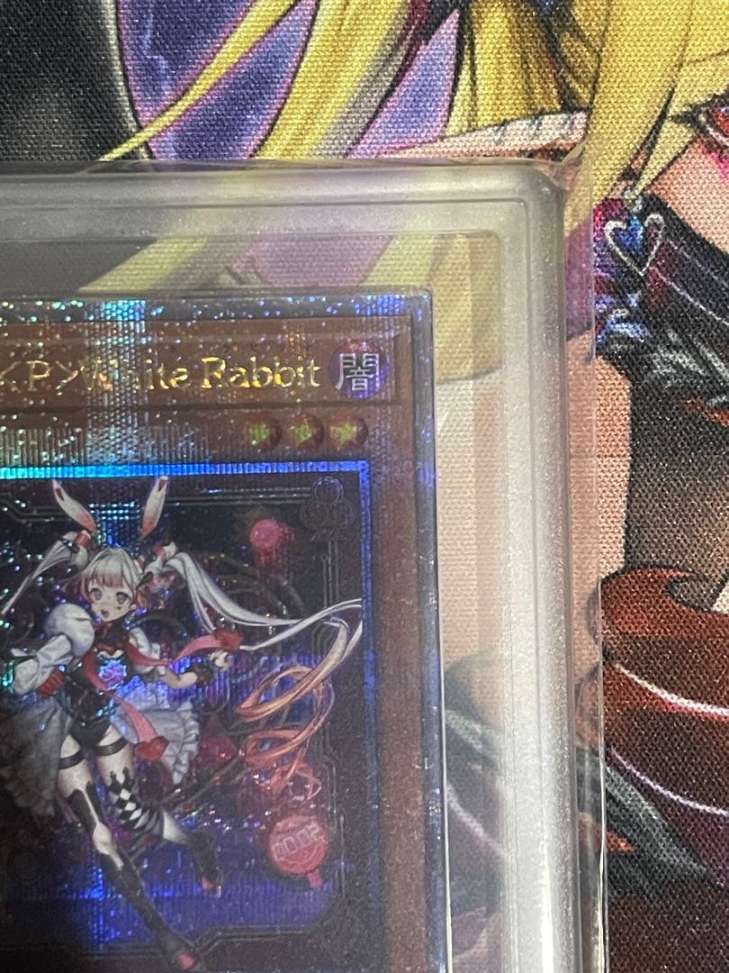 ARS10+】M∀LICE＜P＞White Rabbit 25th PSA10 ARS10+】M∀LICE＜P