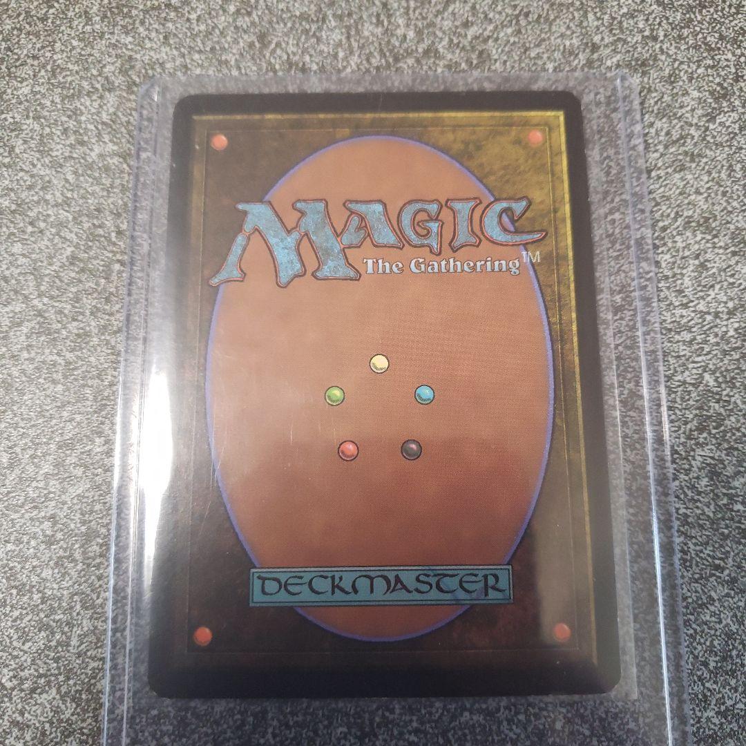 隠遁ドルイド/Hermit Druid(ジャッジ褒賞) 英語Foil - メルカリ