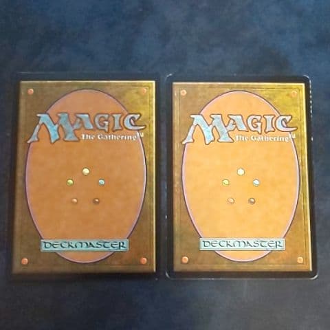 MTG 吸血の教示者 ２枚