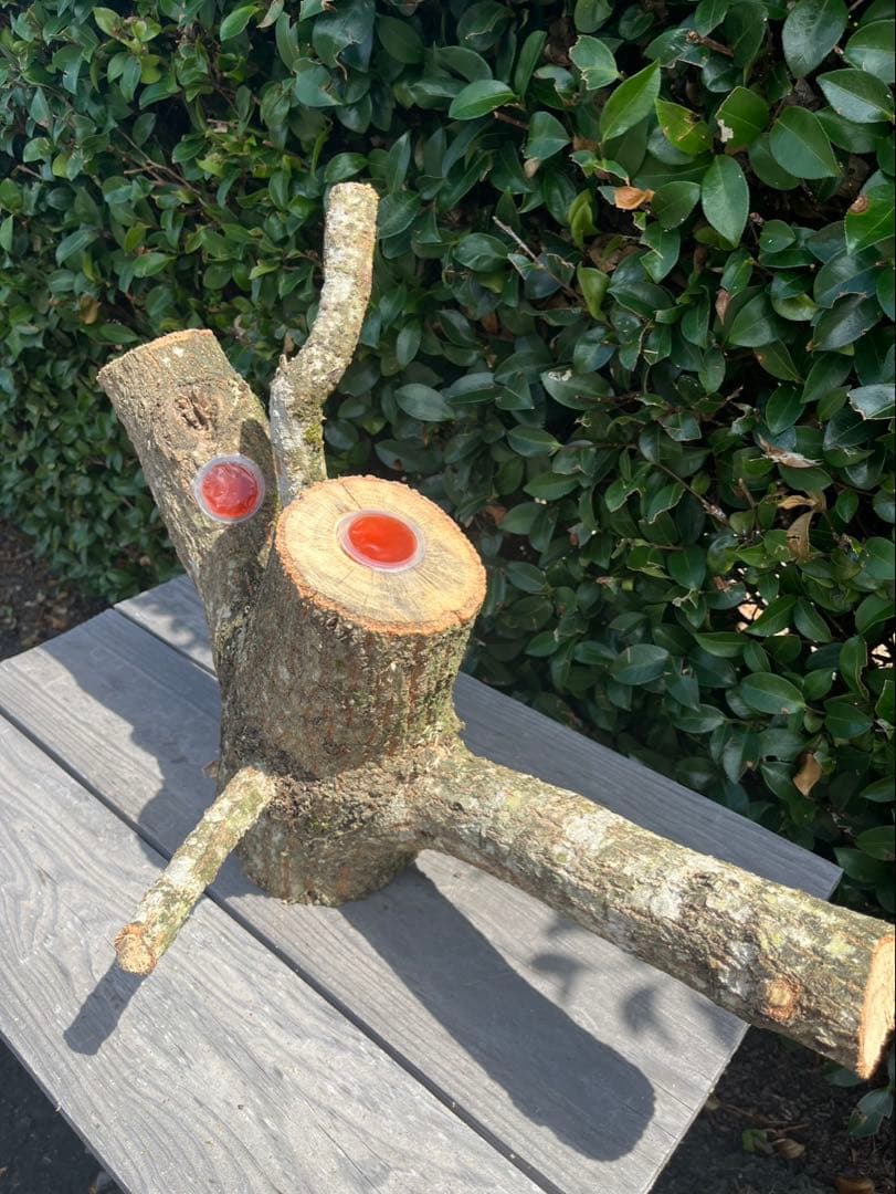 キングクルール様オーダー品 クヌギ エサ皿