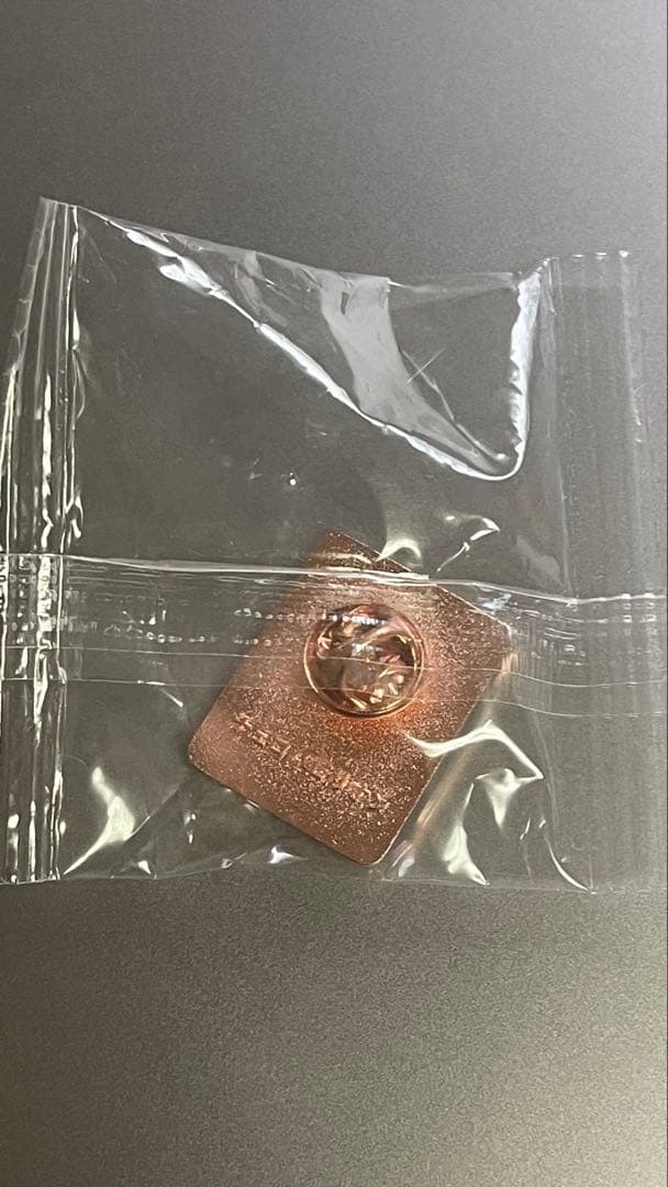 チェコパビリオン公式ピンバッジ（非売品・超希少）