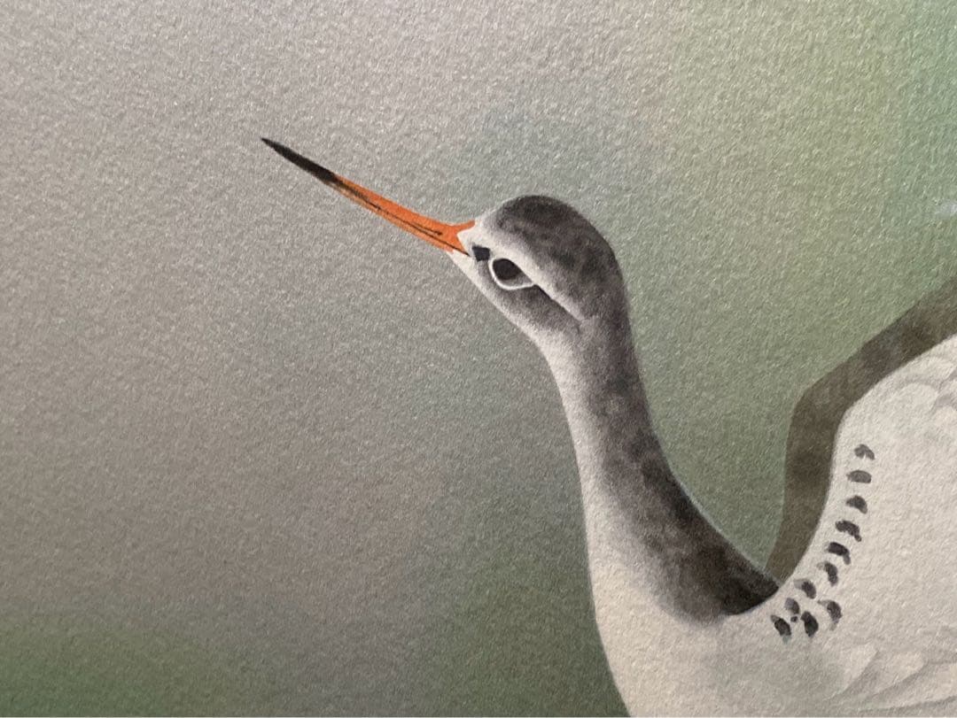 上村淳之 鴨 日本画 花鳥画 リトグラフ